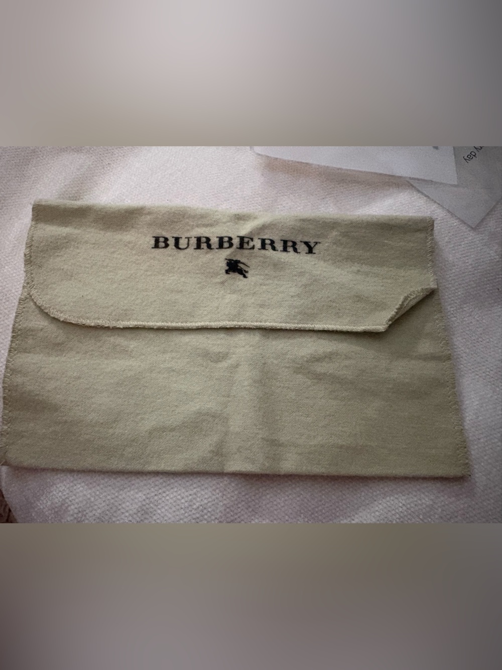 Burberry Beige Dust Bag with Embroidered Logo -Bags